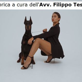 Nessuno tocchi il mio cane