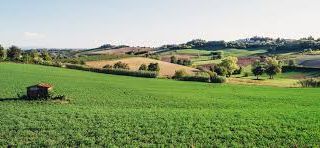 Pubblicato il Bando del G.A.L. Terre Astigiane sui Progetti Integrati di Filiera