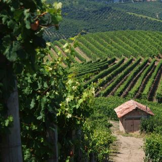Golosoria preannuncia una domenica monferrina tra bellezza e gusto