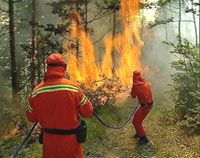 Incendio boschivo