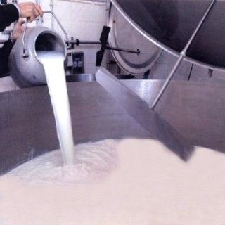 Latte appena munto (foto d'archivio)