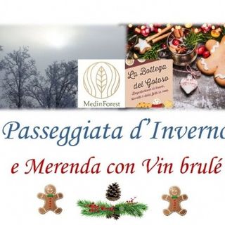 Passeggiata domenicale immersi nella bellezza della Riserva Naturale di Valleandona