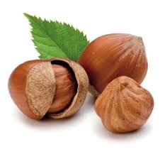 Noccioleto astigiano primo in investimenti. In dieci anni la superficie è raddoppiata
