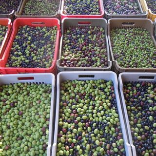 Olive Kalamata: perché sono particolari e fanno bene alla salute