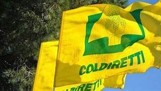 Coldiretti Asti organizza otto incontri a: San Damiano, Canelli, Asti, Nizza Monferrato, Vesime, Villanova, Cortanze, Moncalvo