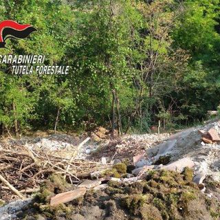 Due denunciati dai carabinieri forestali, a Vinchio e Calamandrana, per reati ambientali