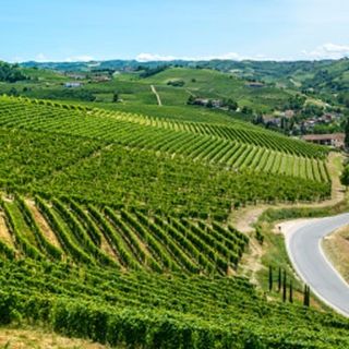 Nasce la Federazione Strade del Vino e dei Sapori del Piemonte