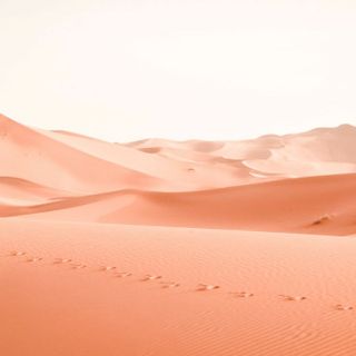 Viaggio in Namibia: l'avventura su due ruote di due cicliste italiane