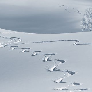scia in neve fresca