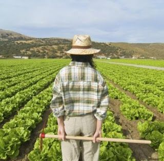 Impresa agricola, contadino in un campo