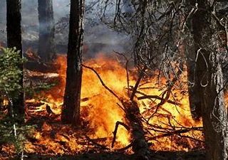 Da domani, 8 marzo, revocato, in Piemonte, lo stato di massima pericolosità per gli incendi boschivi