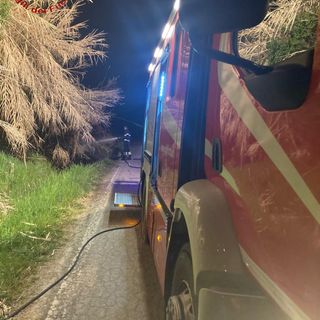 Incendio in un canneto ad Antignano