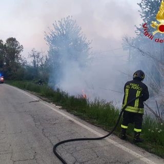 Incendio in un canneto a Montemagno, vicino al cimitero