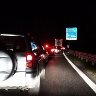 Grosso incidente in tangenziale a causa di alcuni cinghiali
