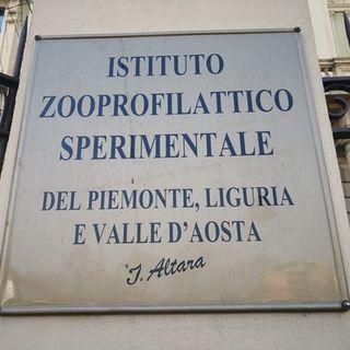 L'Istituto Zooprofilattico assume, 49 nuovi ricercatori entro il 2024: pubblicati i primi bandi