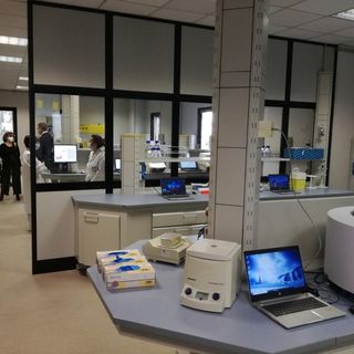 La Loggia, nuovo alleato contro il Covid: al laboratorio Arpa fino a mille tamponi al giorno (VIDEO)