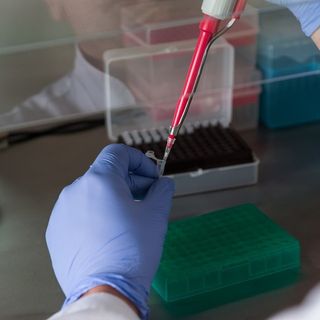 Covid 19, la Regione al lavoro per test rapidi e molecolari agli over 65 asintomatici con malattie croniche
