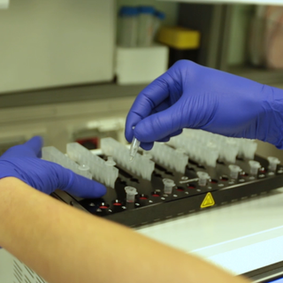 Coronavirus, in Piemonte 42 nuovi casi, di cui uno nell'Astigiano