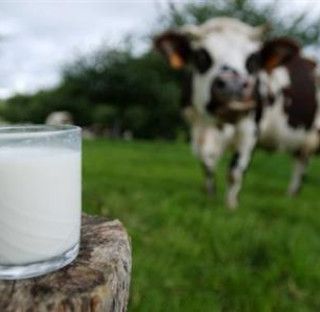 Coldiretti alza la voce: &quot;Stop pratiche sleali sul prezzo del latte, pronte le prime denunce”