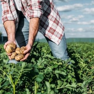 Lavoratori stagionali: Asti Agricoltura denuncia il problema del blocco della manodopera straniera