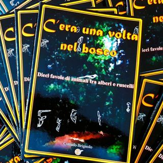 “C’era una volta nel bosco”, dieci favole per bambini tra natura e fantasia