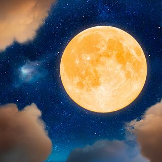 Asti Film Festival sale sulla luna: da questa mattina incontri nelle scuole e tavola rotonda in Sala Pastrone