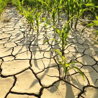 Appello di Confagricoltura alla Regione Piemonte per scongiurare la siccità