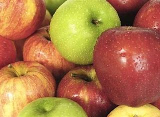 Confagricoltura Piemonte: con siccità e caro energia frutticoltura a rischio