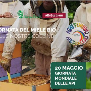 Al NaturaSì di Asti giornata dedicata ai mieli dell'Agriturismo di Aramengo
