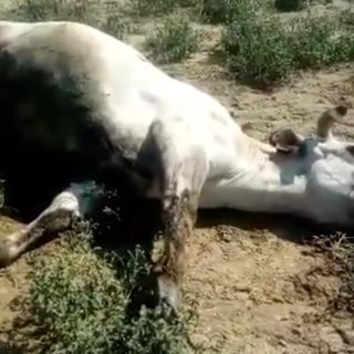 Un frame tratto dal video