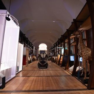 Grande successo per la riapertura del museo di Scienze naturali di Torino (foto: Simone Benso)