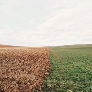 5 idee per un 2022 all’insegna della sostenibilità