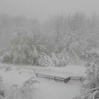 Le foto sono di Federica Zaffore