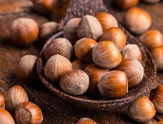 Coltivazione nocciole: dalla Camera di Commercio Alessandria Asti una specifica commissione per i prezzi