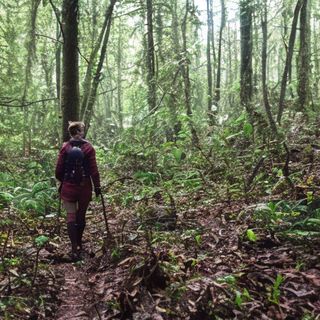 Gli appuntamenti della settimana con Monferrato Nordic Walking