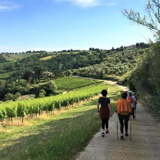 Appuntamento sabato 30 settembre con il Nordic Walking