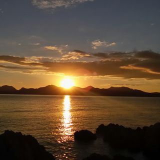 Il giallo dell'estate: la rubrica dei colori a cura della residenza per disabili &quot;Il Borgo&quot;