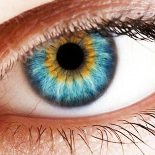 A marzo la settimana dedicata al glaucoma: le iniziative dell'Apri di Asti per la prevenzione
