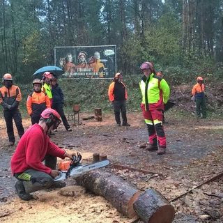Operai forestali al lavoro