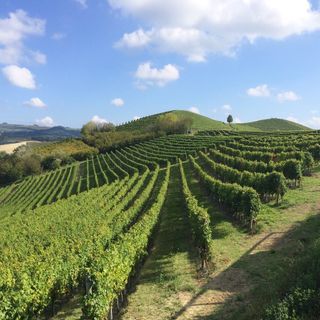 Biodiversità e cambiamenti climatici: un dialogo cruciale a Ferrere d’Asti