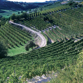 Domenica il CAI astigiano organizza una passeggiata lungo il tracciato della Superga-Vezzolano-Crea