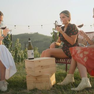 Arriva Maestri di Cantina, il format TV dedicato al turismo del vino