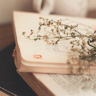 &quot;Biblioterapia? I libri curano?&quot; se ne parla il 21 ottobre ad Asti