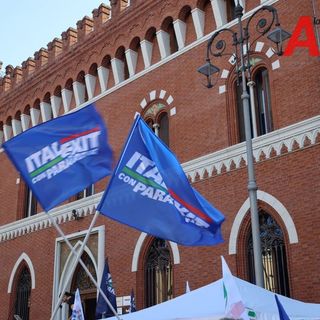 Foto di archivio di Merfephoto