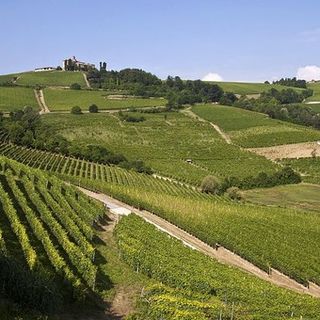Ambiente, il Forum Salviamo il Paesaggio attacca la giunta Cirio: &quot;Burocrazia snella non significa deregulation&quot;