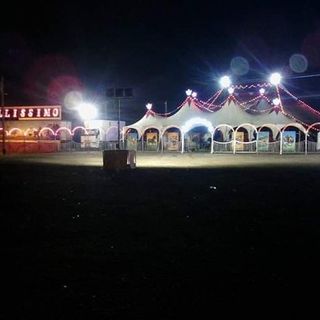 &quot;Qualcuno mi aiuti a trovare lavoro a mio figlio&quot;: l'appello di Bruno Niemen del Circo delle Stelle