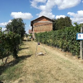 Gli itinerari di Davide Lajolo con il Festival del paesaggio agrario &quot;Laboratorio paesaggio&quot;