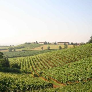Un tipico paesaggio astigiano