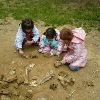 Ripartono le giornate dedicate alle famiglie organizzate dal Parco Paleontologico di Asti