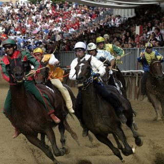 Doping al Palio di Asti del 2014, giudice assolve tutti i fantini e i proprietari degli animali imputati
